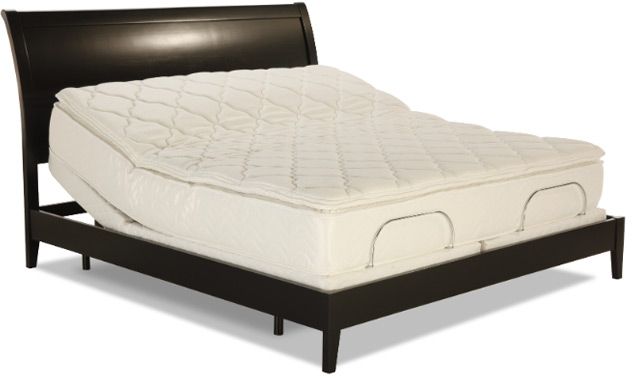 Anaheim Electropedic Adjustable